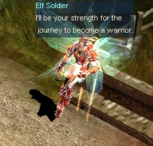 Elf Soldier